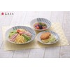 Housework Dressing Room Very Karu ~ Itori Plate (Chisuzui, Set