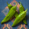 Newmex 64 New Mexico Hatch Chile Hot Pepper Premium Seed Packet + More