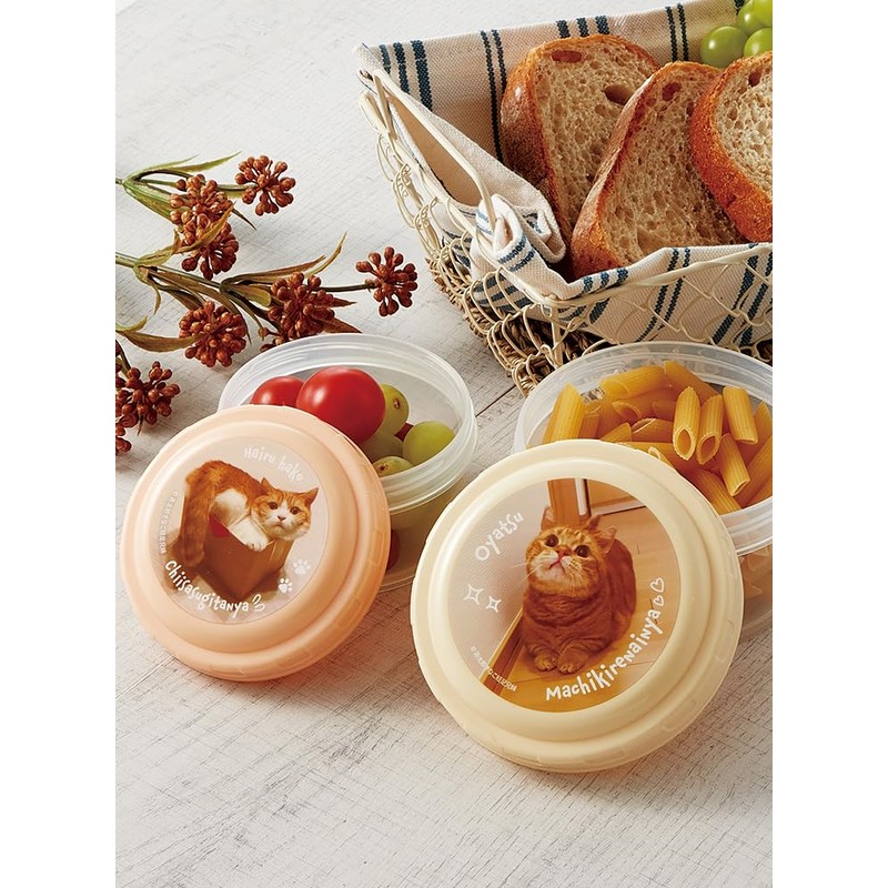 Skater RFC2SAG-A Round Storage Container, Set of 2, Chataro Tokinako