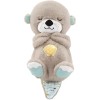 Fisher Price Nutria De Mattel Para Bebés 0-6 Meses