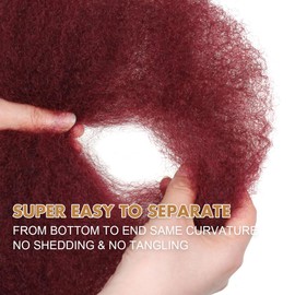 Vecago Afro Kinkys Bulk Human Hair, 14 inch 4c Curly Hair for Permanent Sister Locs/Mini Twists/Braids/Repair Can Dye and Bleach(50 Gram),99J