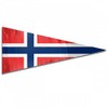 Flag of Norway Premium Pennant Indoor/Outdoor Banner Flags House Garden