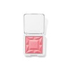 ReDimension Hydra Powder Blush Makeup with Compact - Organic Gel
