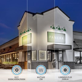 LEONLITE 3CCT LED Gooseneck Barn Light Fixture, 120-277V, 11 Inch, Dusk to Dawn Photocell, 3000K4000K5000K Selectable, 21W 3300lm, for Outdoor Sign, Porch, Wall Lighting, UL Listed, Green