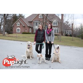 PupLight2 Twice as Bright with Reflective Dog Safety Collar, Black