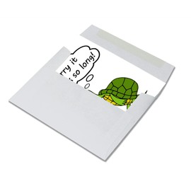 Small World Greetings Sorry It Took So Long Turtle Cards 12 Count - Blank Inside with Envelopes - A2 Size 5.5" x 4.25" - Belated Birthday, Apology, Belated Thank You