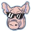 VulgrCo Pig Head Sunglasses Pork Animal Funny Sticker Vinyl Waterproof
