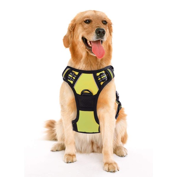rabbitgoo Dog Harness, No-Pull Pet Harness with 2 Leash Clips,