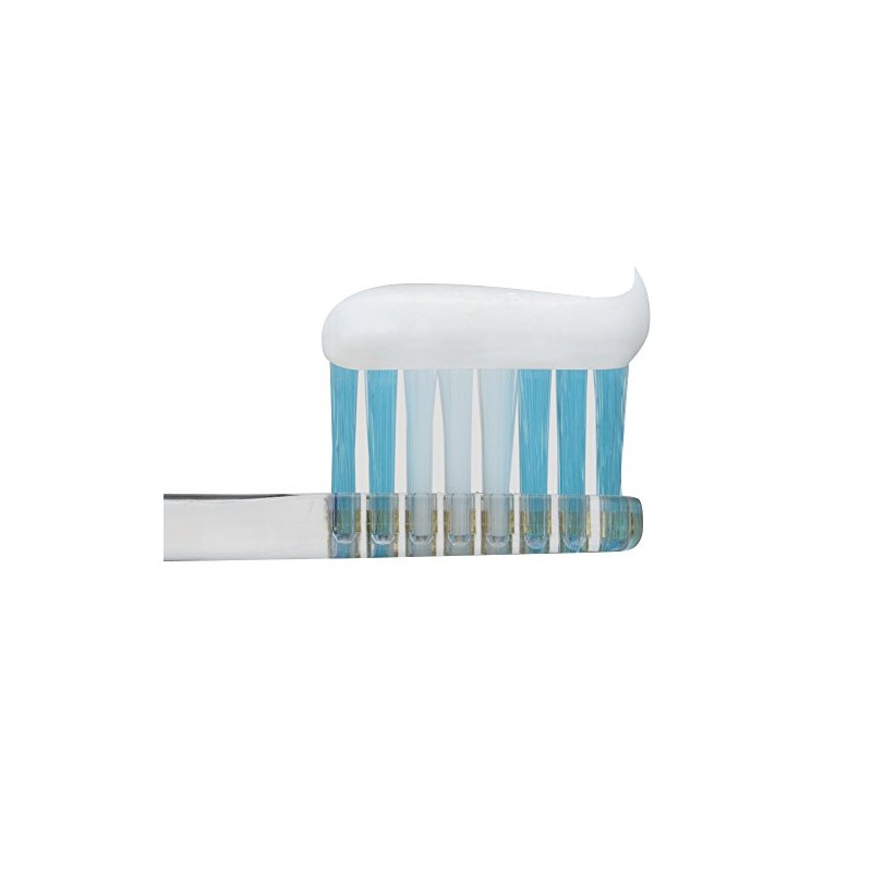 Lion Clinica Mild Mint Toothpaste, Standing Tube, 4.6 fl oz