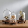 KMwares 3pcs Glass Bell Shape Dome(5.7"/4.9"/4.3") | Cloche Display various