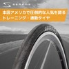 Serfas Seca Tire (Black, 700 X 25)