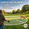 HUND IST KÖNIG Retractable Dog Lead 8 m for Small