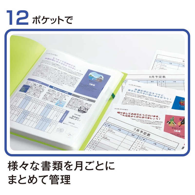 Kingjim 6171-3T Clear File HOLDER IN, A4, 12 Pockets, Light