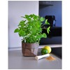 CALUTEA Small bread basket, brown, modern, vegan leather, bread basket,