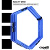 Capelli Sport Hexagonal Speed Rings, Interlocking Hex Agility Ladder Rings