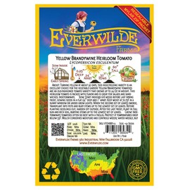 Everwilde Farms - 50 Yellow Brandywine Heirloom Tomato Seeds - Gold Vault Seed Packet