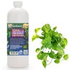 Premium Liquid POTHOS Plant Fertilizer - 3-1-2 Concentrate for Indoor