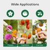 GROWNEER 3 Packs 6.5 Inch Pruning Shears Gardening Hand Pruning