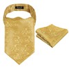 Alizeal Men's Paisley Ascot Tie Cravat Satin Self Tie and