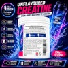 Rival Creatine Monohydrate + Electrolytes Powder 250g (71 Servings) –