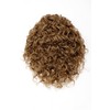 WIG ME UP NC002-15 Hairpiece Ponytail with 2 combs/clips &