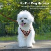 Flymind Soft Mesh Dog Harness and Leash Set, Step-in Escape