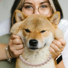 Madison Tyler Dog Pearl Necklace | Durable Dog Necklace | Cute Fashion Pet Collar for Dog | Light Pearl Jewelry Bold Puppy Accessories | Pet Necklace Gift 19 Inches