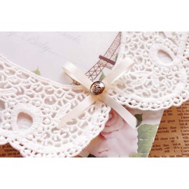 Vpang Detachable Blouse False Collar Sweet Lace Flowers Fake Collar Choker Peter Pan Necklace, White, Large