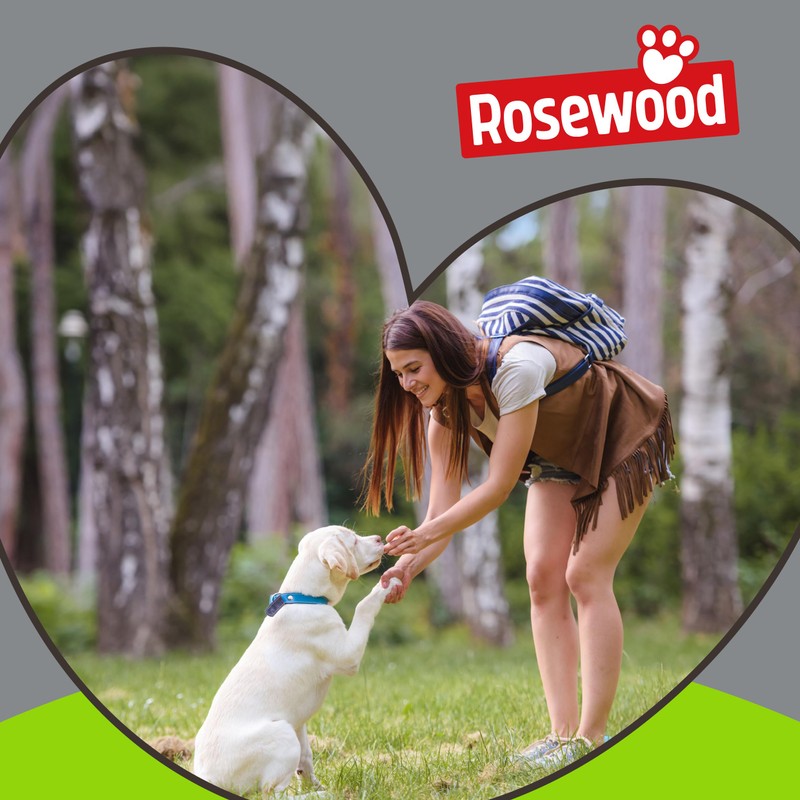 Rosewood Deluxe Dog Training Whistle – Pitched for Dogs Ears,