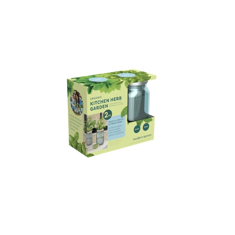 Modern Sprout’s Organic Herb Grow Kit (2 PACK) (Basil and