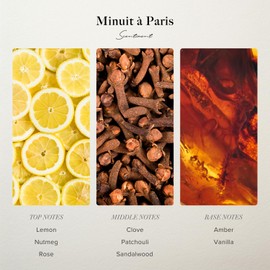 Scentiment Diffuser Oil - Minuit à Paris | Aromatherapy Home Fragrance | Inspired by Luxury Five Star Hotel Scents | Luxurious Scent with Notes of Amber, Sandalwood, Vanilla (120 mL)