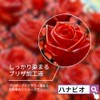 Preserved Flower Processing Liquid Instant Preserved SF-G Solution (1 Liquid