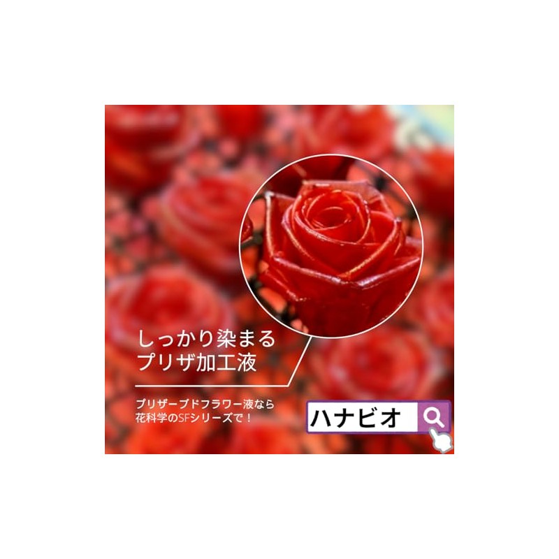 Preserved Flower Processing Liquid Instant Preserved SF-G Solution (1 Liquid