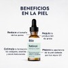 HEBBE - Retinol 10g | Combate Envejecimiento | Regula Producción
