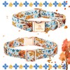 Lionheart glory Premium Dog Collars Fall Dog Collar, Heavy Duty