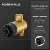 R50200 Replacement Body Spray Rough in Valve for DT, Brass