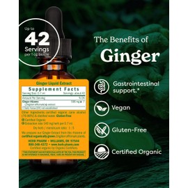 Herb Pharm Certified Organic Ginger Liquid Extract for Digestive Support - 1 Ounce