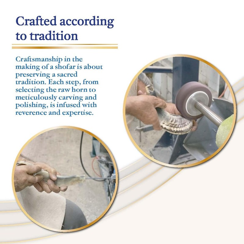 Original Ram Horn Shofar Natural Colors (17,3¨-19,6")