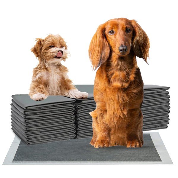 FPN Charcoal Pee Pads for Dogs | 18x24 Inches Pads