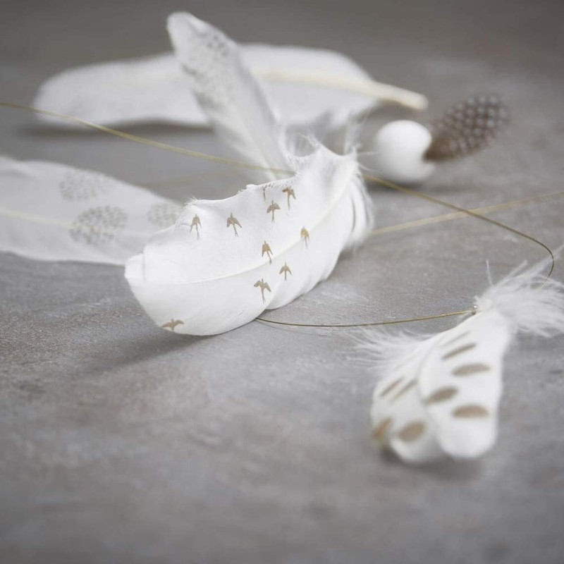 Räder [W2310] Feather Light Chain Gold Length: 120 cm