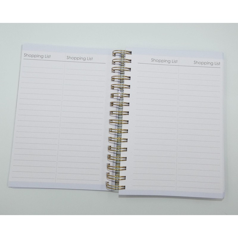 Sixstore 2025 Diary A5 Day to Page Diary Wiro Bound