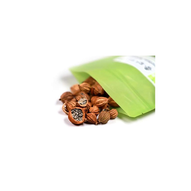 NEW PACKAGING Fructus Amomi Xiang Sha Ren 香砂仁 4 oz