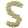 Smarty Stop Jelly Beans Every Flavor Candies (Vanilla, 2 Pound