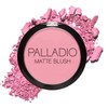 Palladio Matte Blush Rubor Mate Berry Pink 0.21 oz