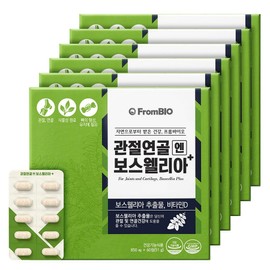 From Bio Articular Cartilage Boswellia Plus 51g, 60 tablets, 6 units / 프롬바이오 관절연골엔 보스웰리아 플러스 51g, 60정, 6개