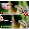 2pcs Reptile Lizards Gecko Feeding Tongs, Rubber Tipped Long Tweezers