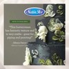 Satin Ice Buttercream Icing Mix, 2 Pounds