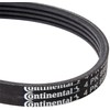 CONTITECH 4PK895 V-Ribbed Belt