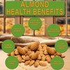 Raw Italian Almonds Divine Organics 16 oz 453 grams (16