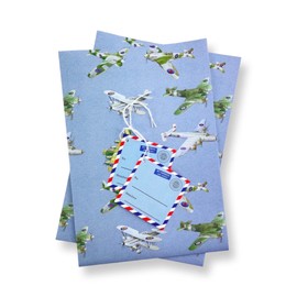 Plane Airplane Aeroplane recycled and recyclable eco printed gift wrap; 2 Sheets Plus Two Gift Tags